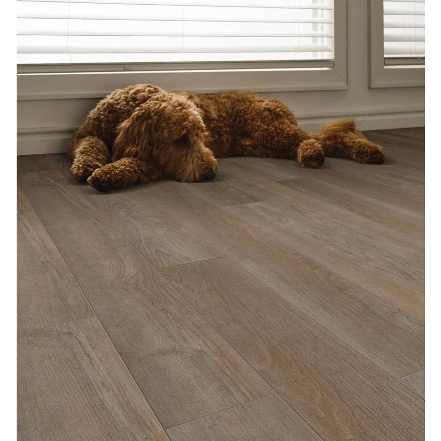 SMARTCORE 11-Piece 5-in X 48.03-in Linden Pine Luxury Vinyl Plank Flooring - Image 11