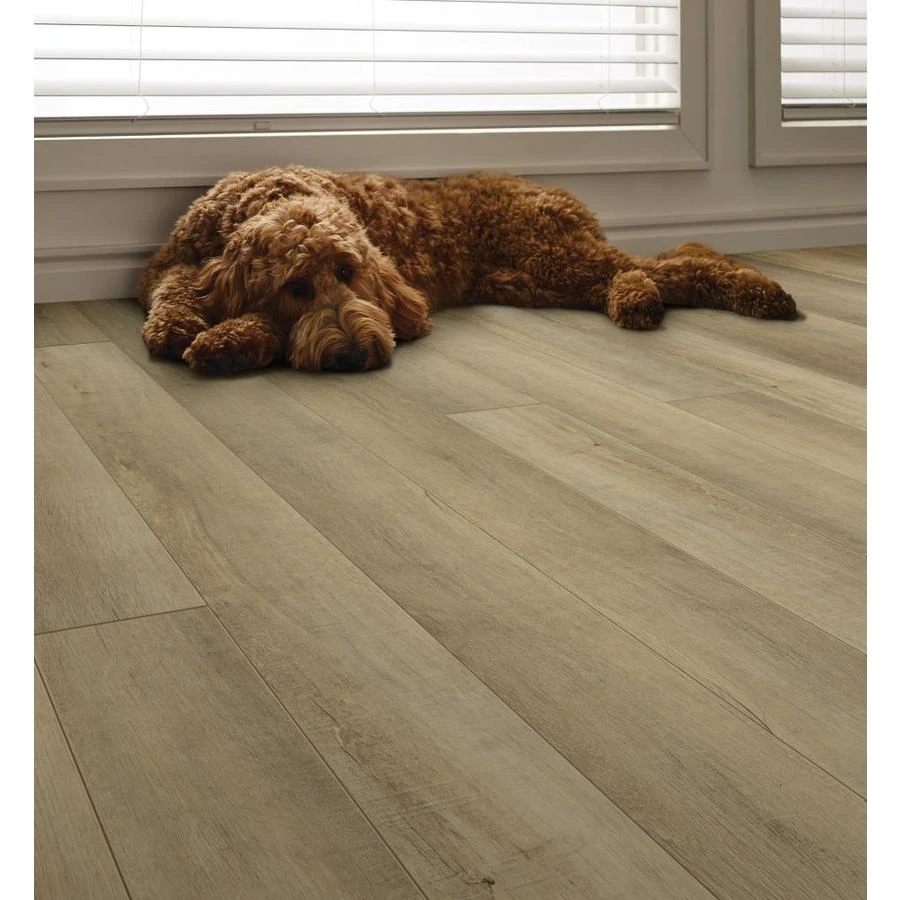 SMARTCORE 11-Piece 5-in X 48.03-in Linden Pine Luxury Vinyl Plank Flooring - Image 7