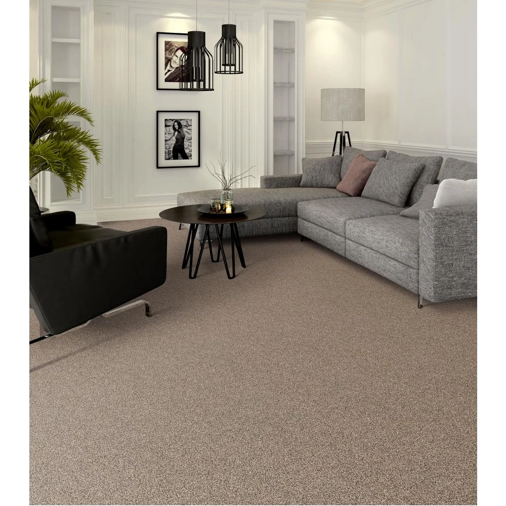 TrafficMaster Calico Rock Oxford Twist 18 In. X 18 In. Carpet Tile (10 Tiles/Case) - Image 2